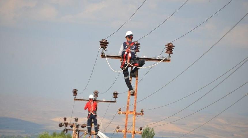 Kuş &Ouml;l&uuml;mleri &lsquo;kuşkonmaz&rsquo; İle Engelleniyor