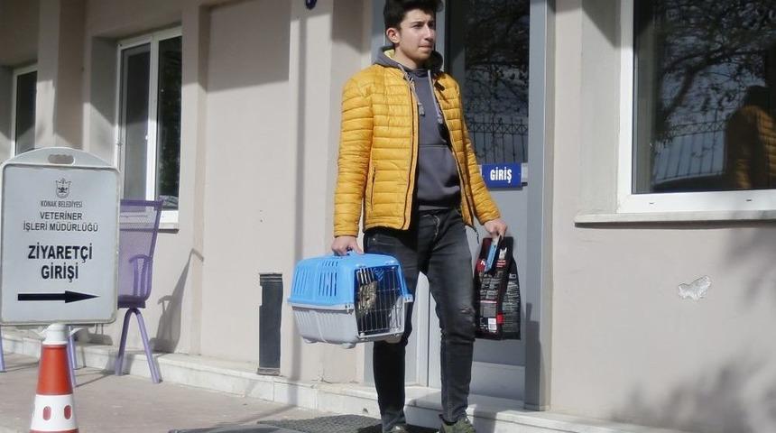 Kayıt Yaptırana Mama Armağan