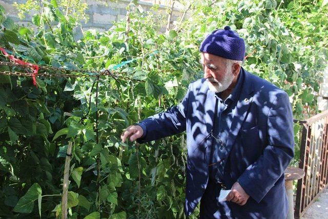 Hiç Okula Gitmeden 7 Şiir Kitabı Çıkardı