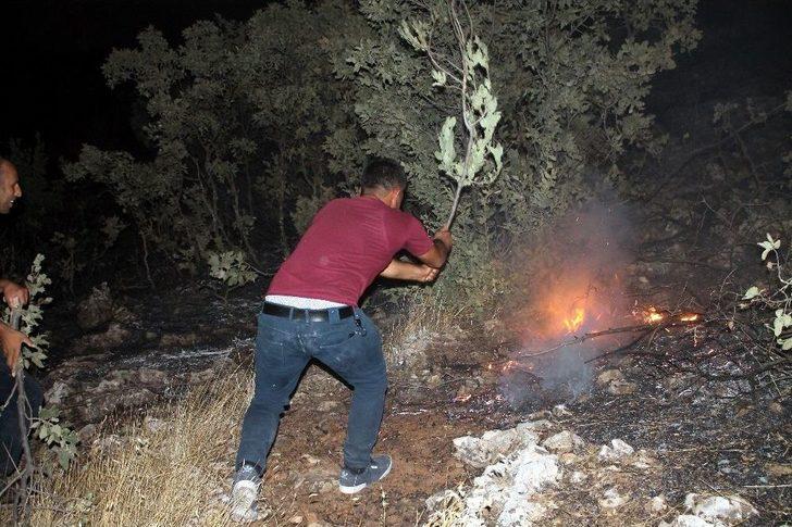 Midyat’ta Korkutan Orman Yangını G1