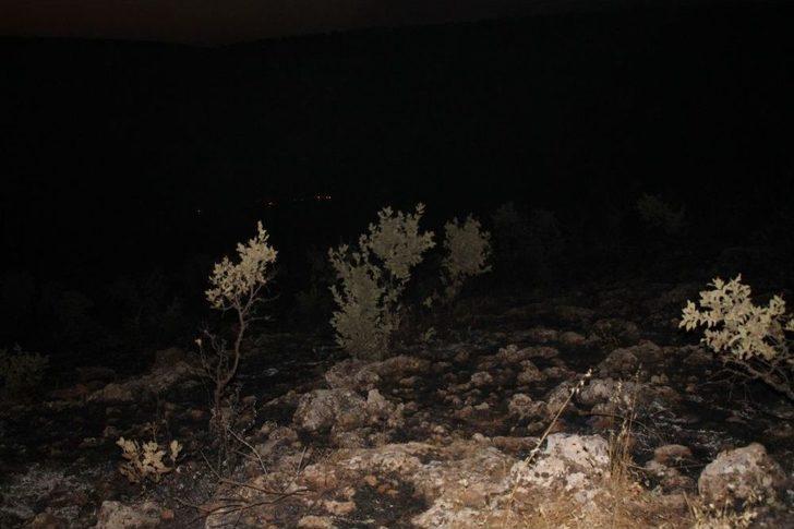 Midyat’ta Korkutan Orman Yangını G2