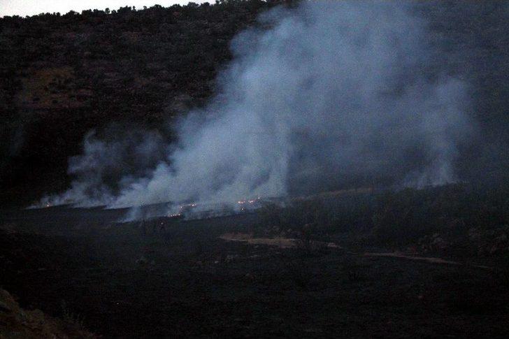 Midyat’ta Korkutan Orman Yangını G4
