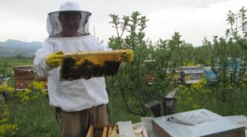 Aşırı Yağışlar, Bal &Uuml;retimini Bitme Noktasına Getirdi