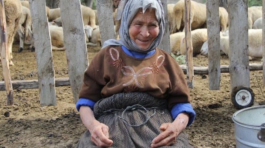 (&ouml;zel Haber) 83 Yaşındaki Elmas Nine 63 Yıldır &Uuml;retiyor