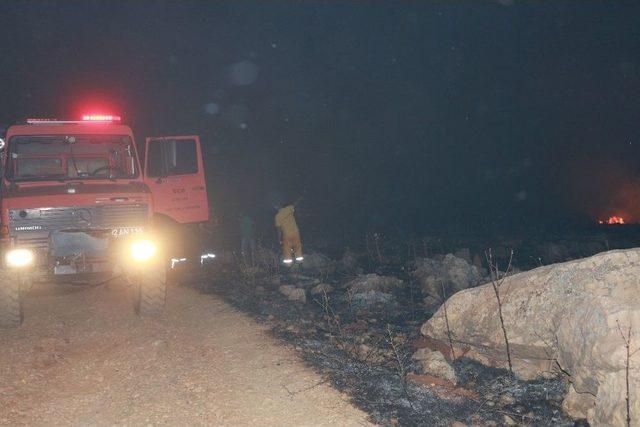 Adıyaman’da Korkutan Orman Yangını