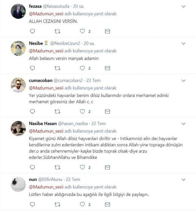 Eşeğe İşkence Yaptılar, Sosyal Medyada Paylaştılar