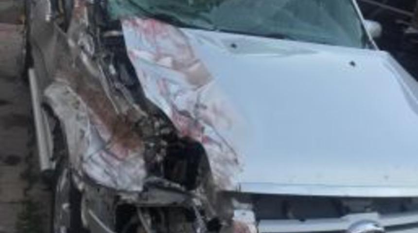 Tanker İle Hafif Ticari Araç Çarpıştı: 1 Yaralı