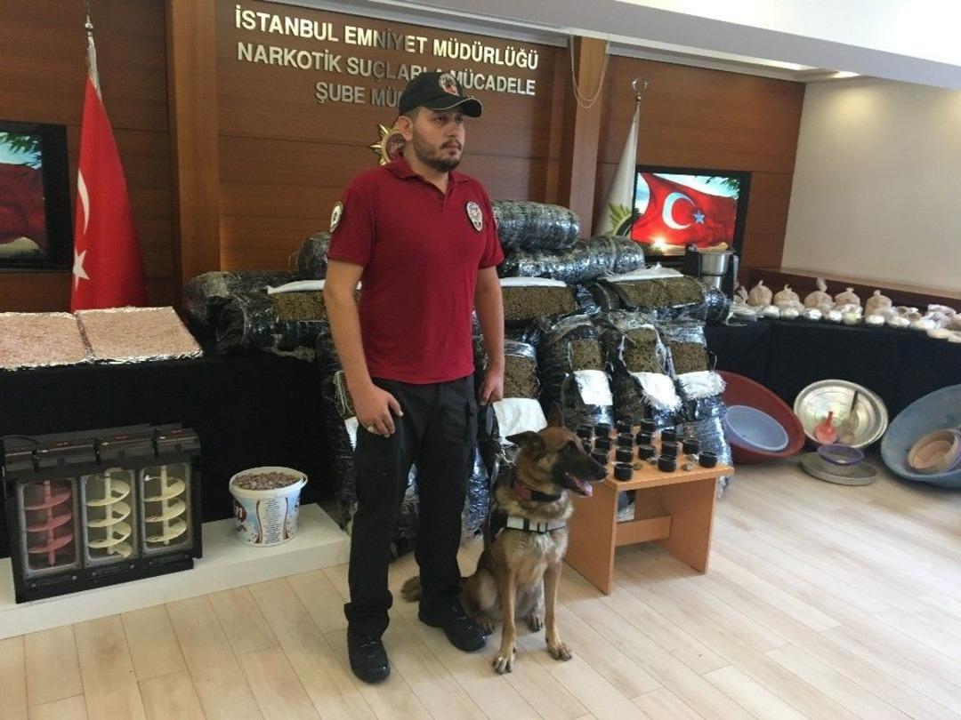 İstanbul&rsquo;da Uyuşturucu Satıcılarına Darbe &Uuml;st&uuml;ne Darbe