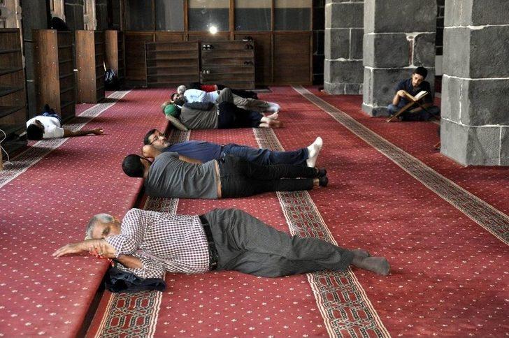 Güneşi Gören Kaçtı G5