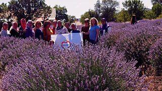 Tarsuslu Kadınlar Lavanta Yetiştirecek