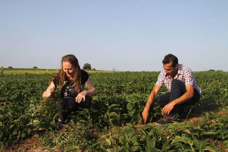 (tekrar) Karı Koca Birlikte Şifa Ekiyor G1
