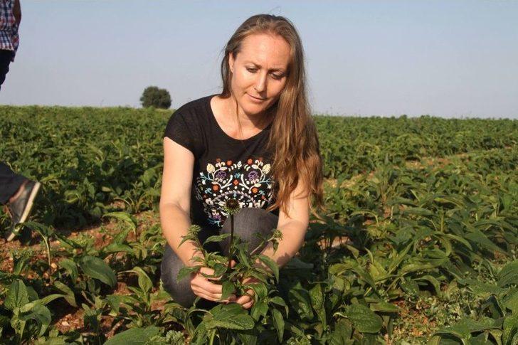 (tekrar) Karı Koca Birlikte Şifa Ekiyor G5