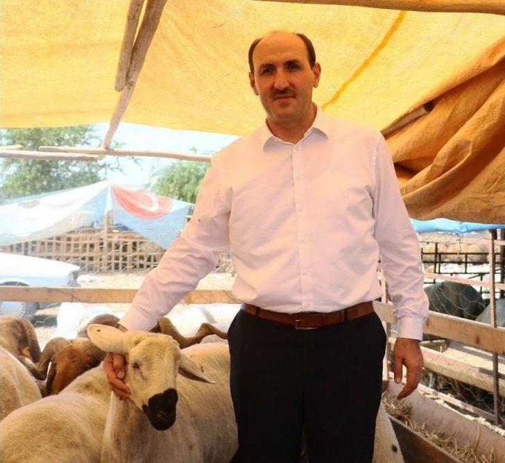 Adana’da Kurbanlıklar Pazardaki Yerlerini Aldı G1