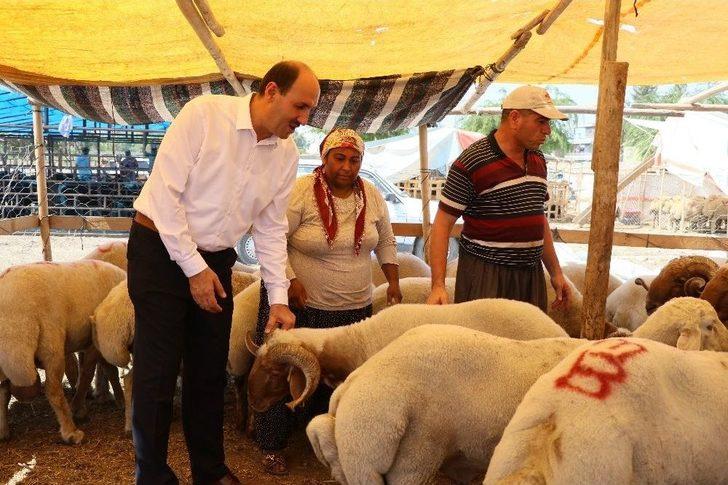 Adana’da Kurbanlıklar Pazardaki Yerlerini Aldı G3