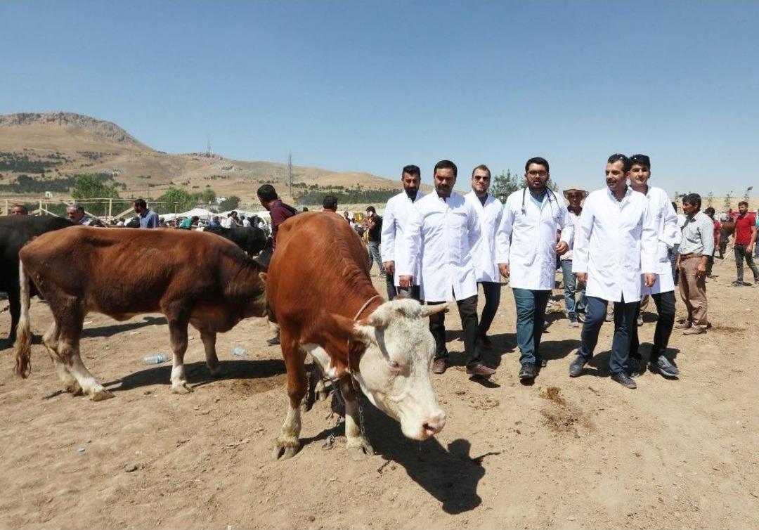 Van&rsquo;da &rsquo;kurban Sağlık Timi&rsquo; İş Başında