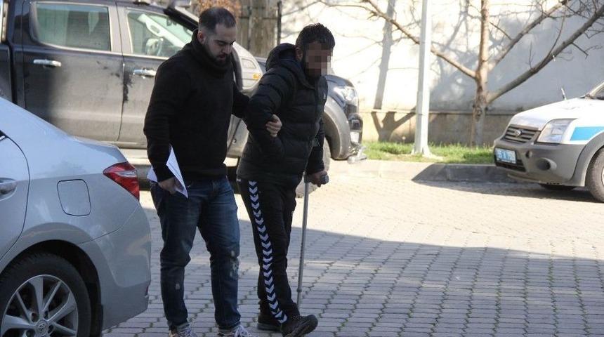 Evinde Bonzai Bulunan Şahıs Tutuklandı