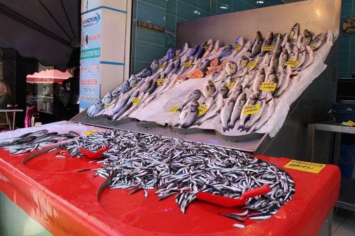 Eskişehir’de Balıklar Tezgaha İndi G2