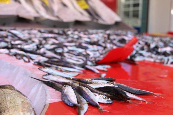 Eskişehir’de Balıklar Tezgaha İndi G4