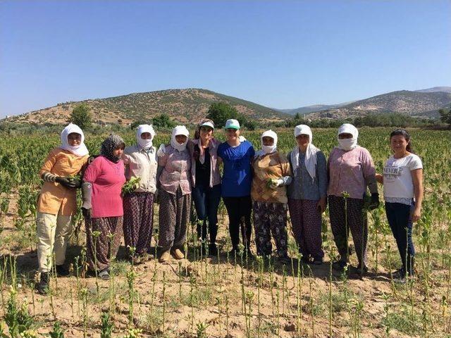 Kaymakam Büyüknalçacı Helallik İstedi