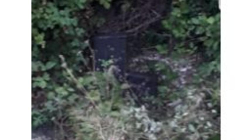 Mamamatikleri Dereye Attılar