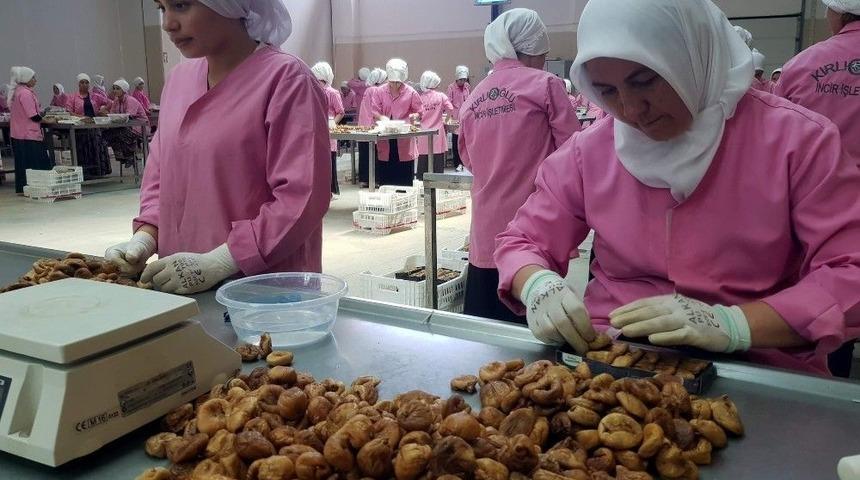 &Ccedil;inlilerden Aydın İncirine Yakın Markaj