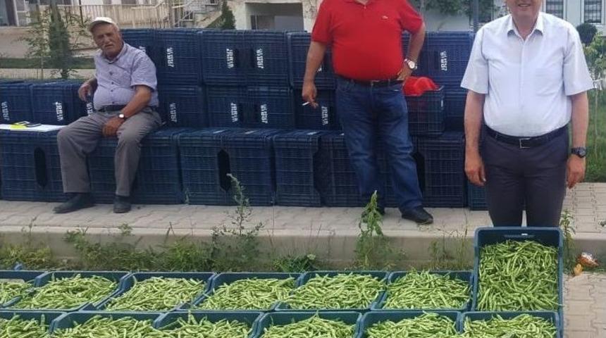 Bu Yeşil Fasulyenin Kilosu 90 Tl’den Satıldı