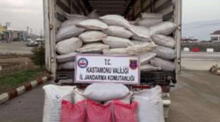 Kastamonu&rsquo;da 20 Ton Ka&ccedil;ak &Ccedil;ay Ele Ge&ccedil;irildi