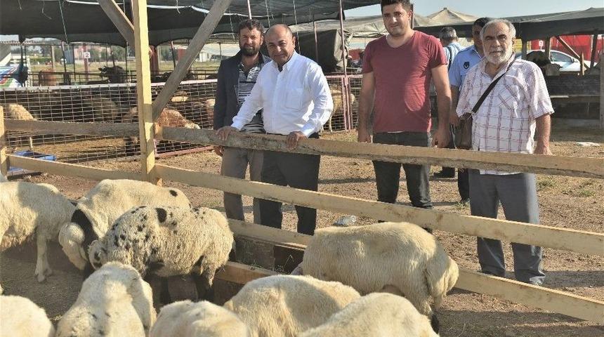 &Ccedil;iğli&rsquo;de Kurban Bayramı Hazırlıkları Tamamlandı