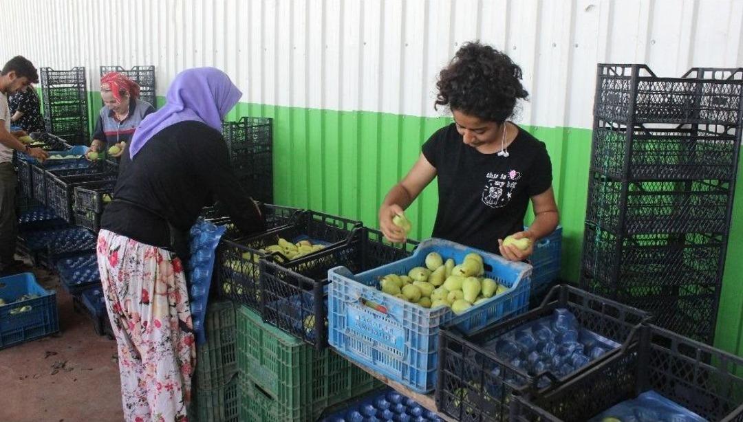 Amerika&rsquo;nın Ekonomik Ambargo Teşebb&uuml;s&uuml;ne "santa Maria"lı Cevap
