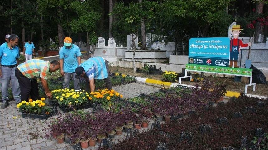 Alanya Belediyesi 21 Mezarlıkta 55 Bin Çiçek Dağıtacak