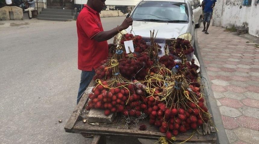 (özel Haber) Tanzanya’nın Asil Meyvesi: “rambutan”