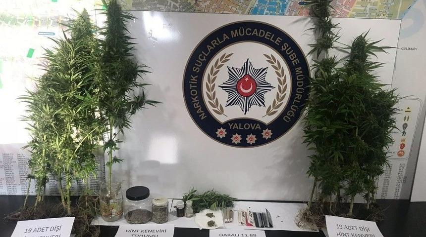 Yalova Ve İstanbul&rsquo;da Eş Zamanlı Uyuşturucu Operasyonu
