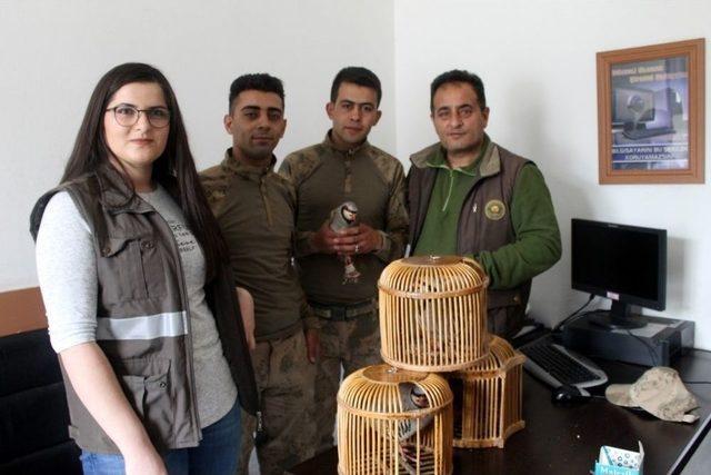 Iğdır&rsquo;da Ka&ccedil;ak Avlanmaya Para Cezası 1