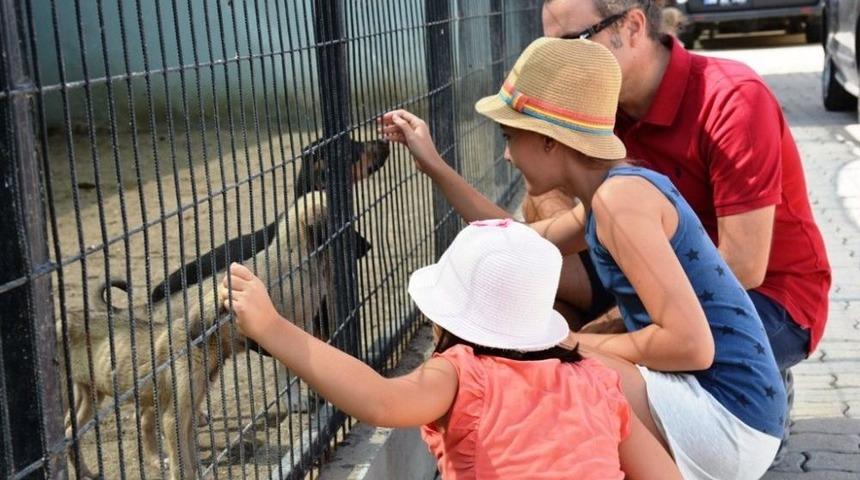 Tekirdağ&rsquo;da Sokak Hayvanları İ&ccedil;in &ldquo;gel Sahiplen&rdquo; Kampanyası