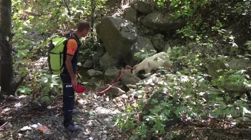 Kayalıklarda Mahsur Kalan Ke&ccedil;iyi Afad Ekipleri Kurtardı
