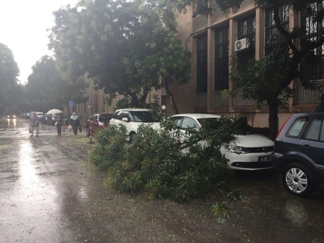 Eskişehir&rsquo;deki Fırtına Ağa&ccedil;ları Devirdi, Ara&ccedil;lara Zarar Verdi