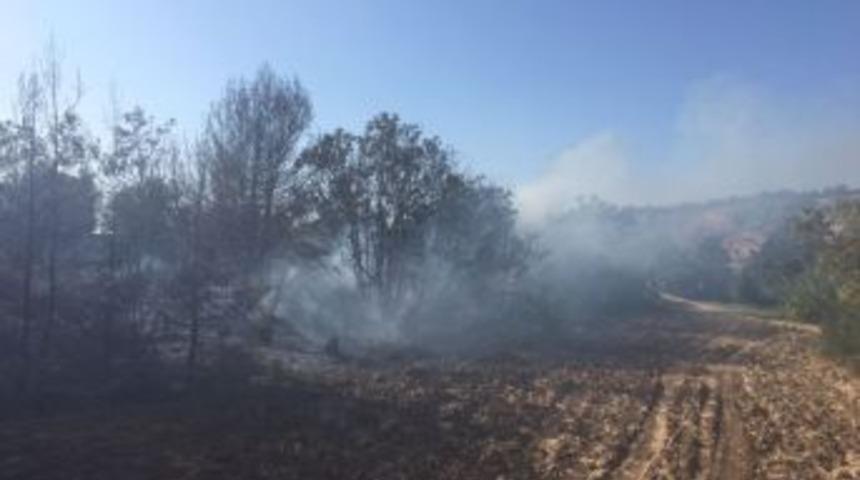 Hatay’da Orman Yangını