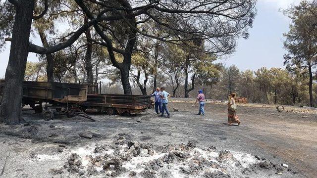 Yangın Sonrası Geri Döndü Aracını Küle Dönmüş Buldu