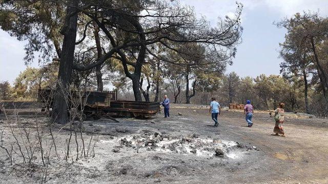 Yangın Sonrası Geri Döndü Aracını Küle Dönmüş Buldu