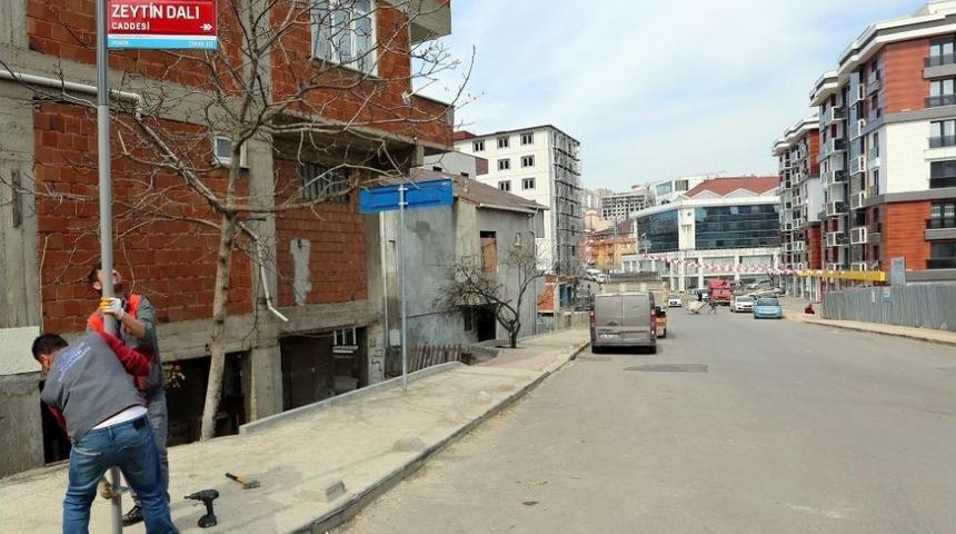 İstanbul B&uuml;y&uuml;kşehir Belediyesi &lsquo;zeytin Dalı Caddesi&rsquo; Tabelalarını Astı