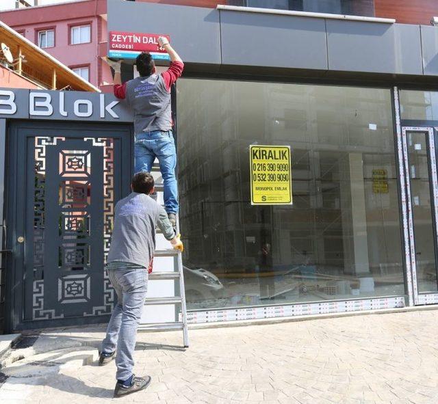 İstanbul Büyükşehir Belediyesi ‘zeytin Dalı Caddesi’ Tabelalarını Astı