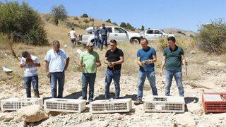 Sülünler Keneyle Mücadele Edecek