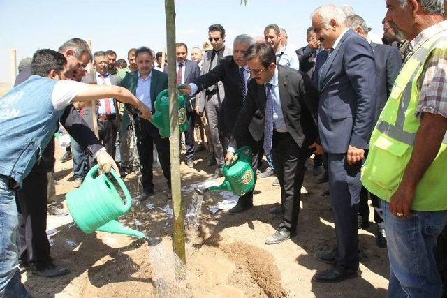 Tarım Ve Orman Bakan Yardımcısı Aksu, Malazgirt’te