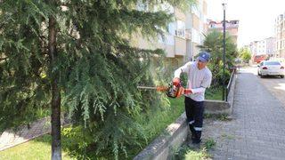 Altınordu Belediyesi Yolları Güvenli Hale Getiriyor