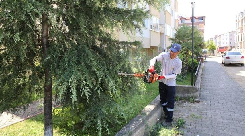 Altınordu Belediyesi Yolları Güvenli Hale Getiriyor