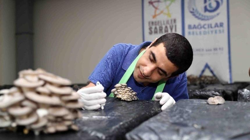 Mantar &Uuml;retim Eğitimi İle Hem Tedavi Hem Meslek Sahibi Oluyorlar