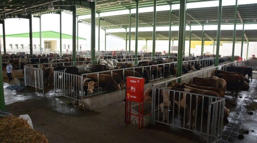 Vergi Borcu Olanlar Dikkat, Süre 31 Temmuz’da Sona Eriyor