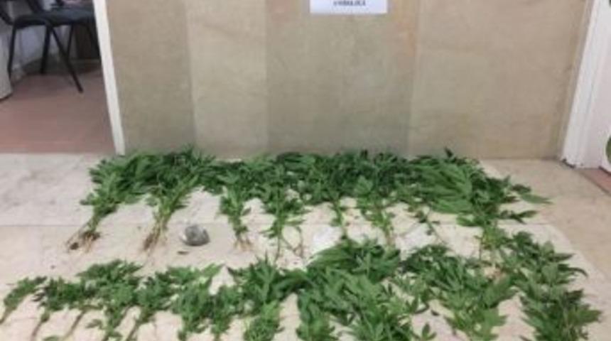 Gemerek’te Uyuşturucu Operasyonu