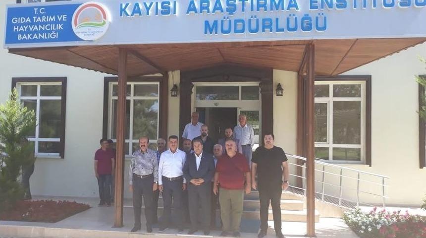 2019 &rsquo;d&uuml;nya Kayısı Sempozyumu&rsquo; Malatya&rsquo;da Yapılacak