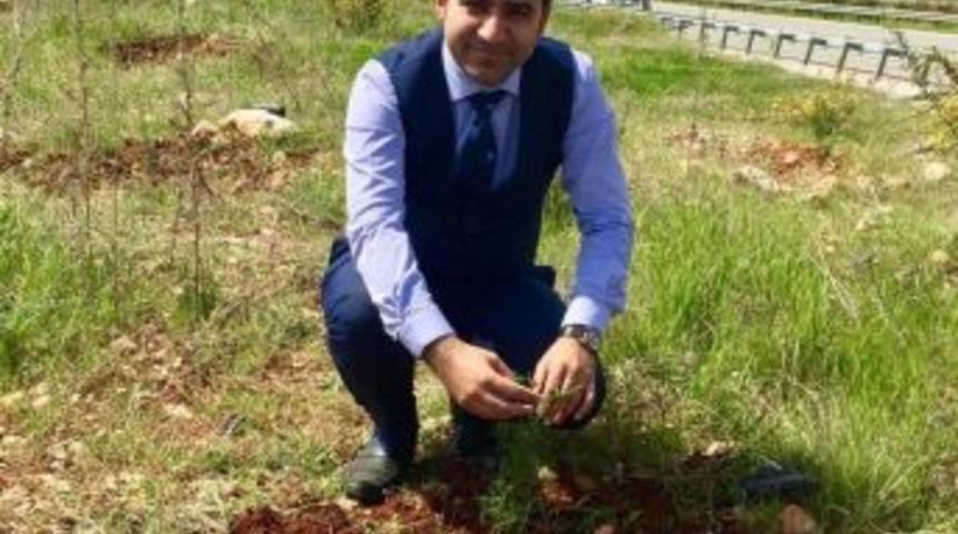 Başkan Ateş, Yaz Aylarında Meydana Gelen Orman Yangınlarına Karşı Uyardı